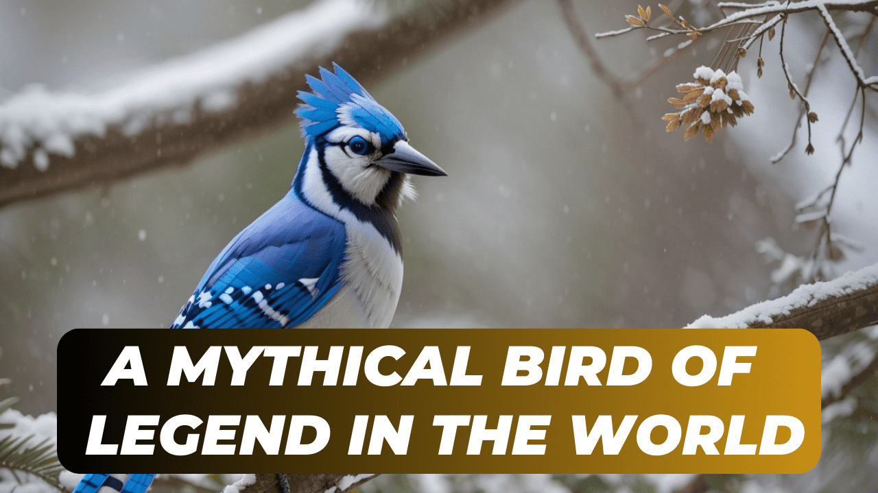 Blue Cardinal A Mythical Bird of Legend in the World