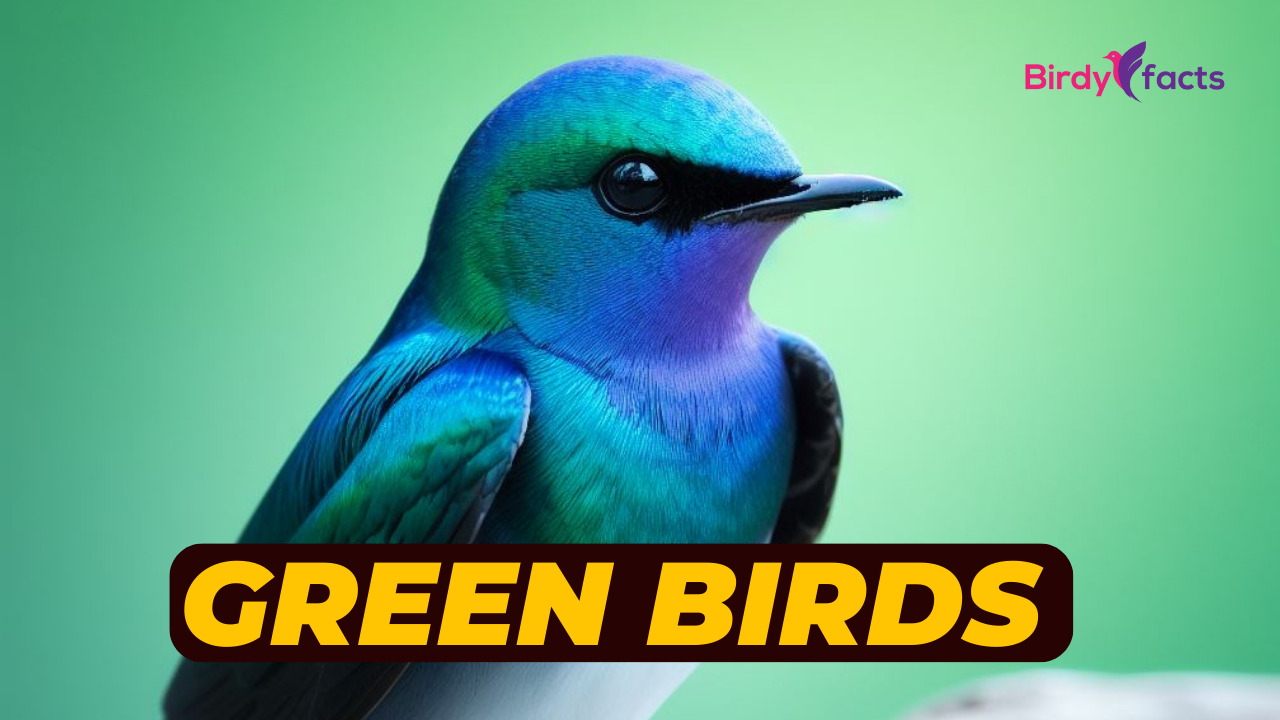 17 Green Birds Symbols of Nature's Beauty